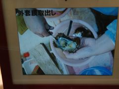 -西海国立公园九十九岛水族馆