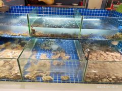 水产区-鼎级香· 火锅烤肉自助丨涮烤一体(蜀山唯品会店)