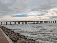 -宝安西湾红树林湿地公园