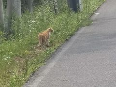 -南京金牛湖风景区