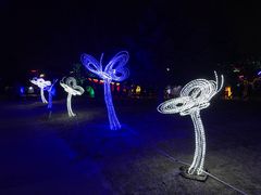 -长春公园(普阳街道)