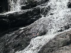 -马峦山郊野公园