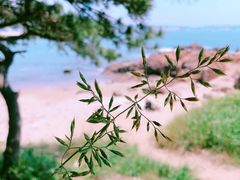 -青岛第二海水浴场