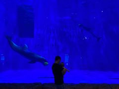 -华夏文旅海洋公园