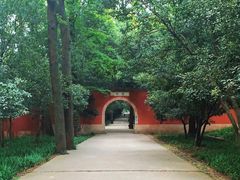 -灵谷景区