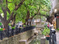 -小洲村