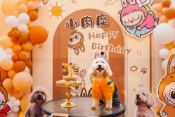 -派对猴生日派对策划(浦东店)