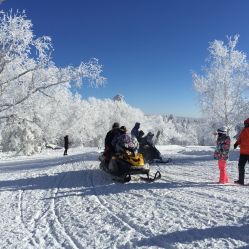-大秃顶子山
