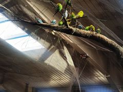 -南宫五洲植物乐园