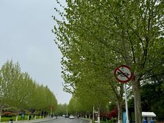 -云龙湖旅游景区