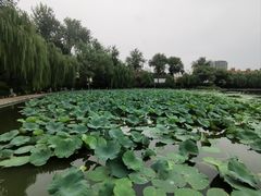 -中国农业博物馆