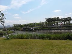 -芒洲湿地公园