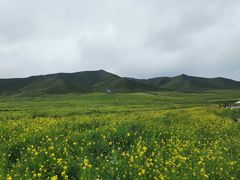 -扁都口生态休闲旅游区