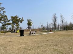 -上海长兴岛郊野公园