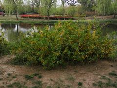 -祥源·阜阳生态乐园