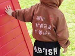 -洪湖湿地生态园
