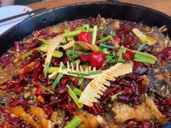 -老板恋上鱼(恒隆广场店)