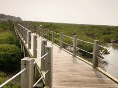 -北海金海湾红树林生态旅游区
