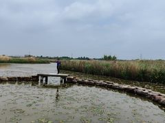 -宁波杭州湾国家湿地公园
