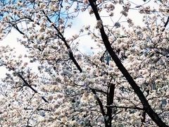-象屿大宁悦府
