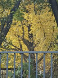 -小颜秘家·韩国整骨