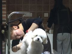 -Oh My Dog宠物沙龙(伊珊娜皮毛护理店)