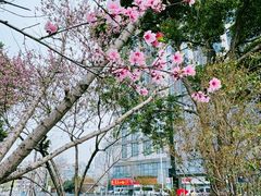 -维也纳国际酒店·苏州火车站店