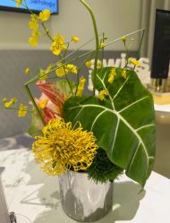 -明潪Selfology升维护理中心