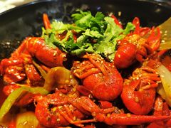 -红辣椒·川菜·火锅(张杨路店)