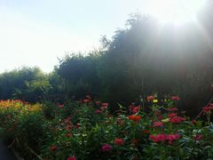 -长春公园(普阳街道)