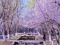 -三里河公园