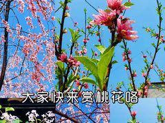 -平遥古城
