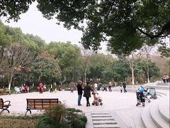 -大关公园