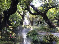 -Chom Cafe and Restaurant