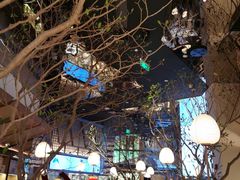 -桂满陇·海市蜃楼·黑金(国金店)