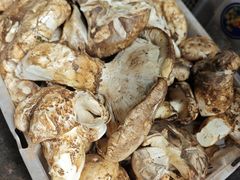 老人头-杨记山珍鸡煲菌汤锅