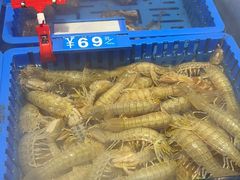 -倍儿美海鲜大排挡·非遗海鲜蒸饺(洋货店)