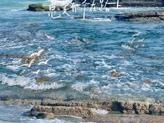 -盐洲岛