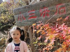 -三块石国家森林公园