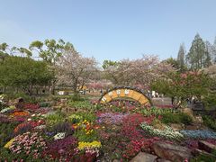 -北京上方山国家森林公园