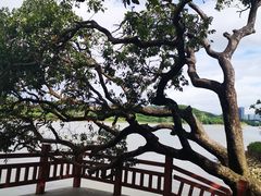 -鹤之洲湿地公园