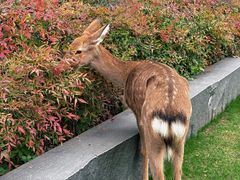 -养云安缦吧THE BAR