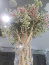 点击看大图 -今生有约国际精品婚纱摄影(苏州店)