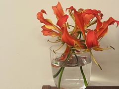 -知物癖(牛王庙店)