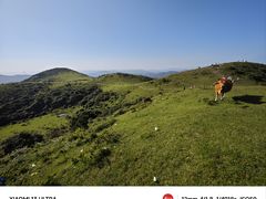 -大姆山草场