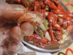 -杨氏青龙虾·羊蝎子(托乐嘉店)