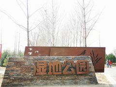 -东郊湿地公园