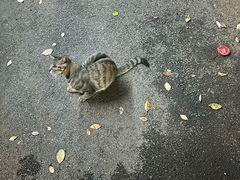 -湖南湘绣博物馆