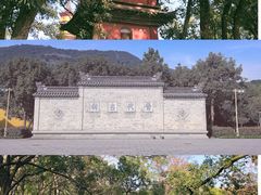 -阿育王寺