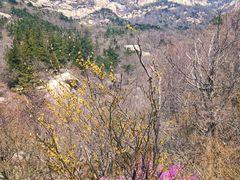 -崂山巨峰游览区